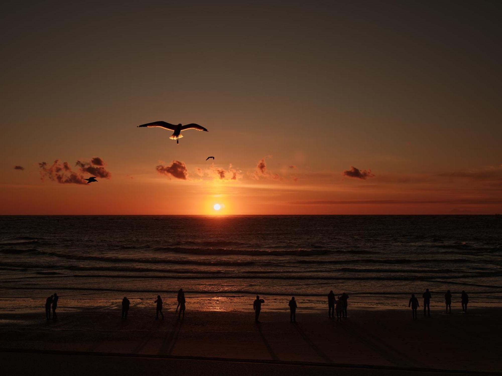 New Wave Norderney Exterior foto